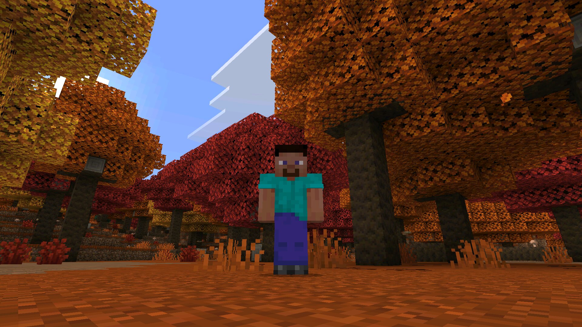 Screenshot de Minecraft